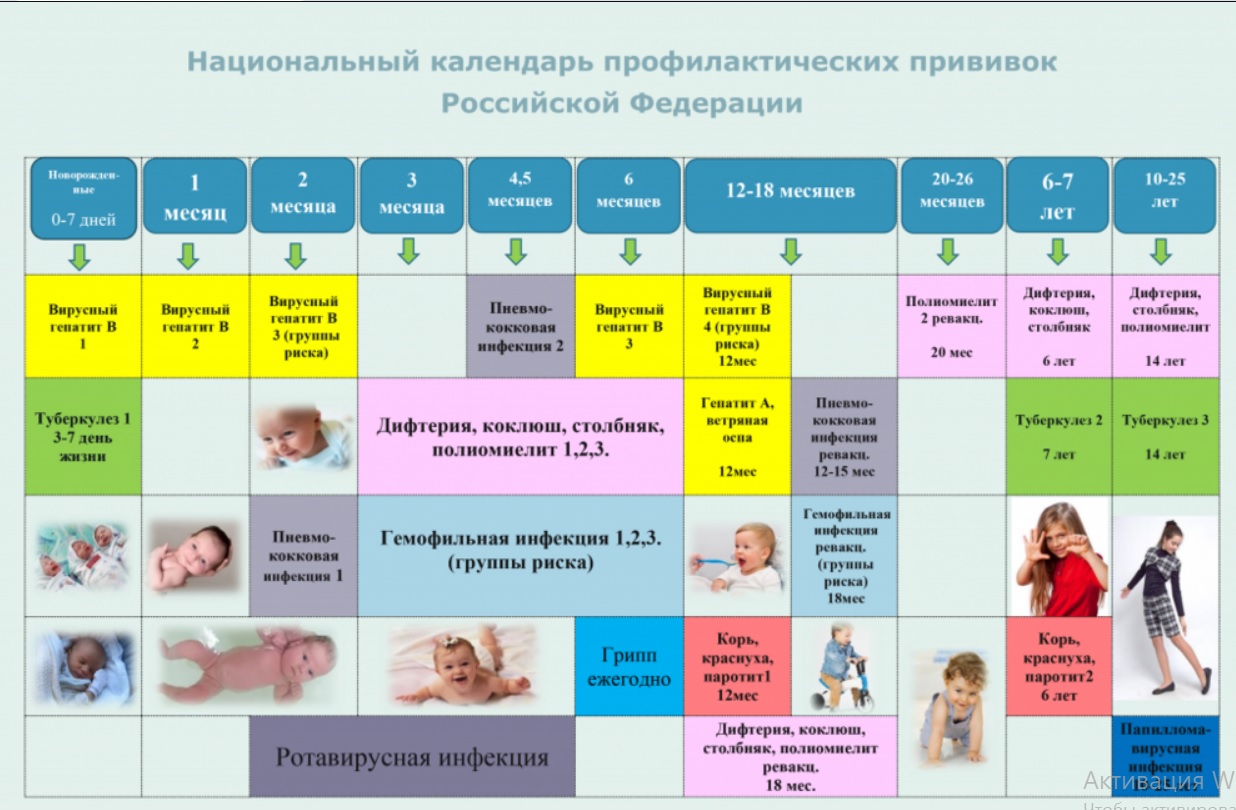 Вакцина в 1 год. Национальный календарь прививок 2020 Россия. Национальный календарь прививок 2020 Россия таблица для детей. Вакцинопрофилактика национальный календарь прививок. Календарь прививок для детей в России 2021 национальный календарь.