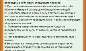 клещи